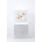 Jean-Luc MANIOULOUX, Impact, Insectes naturalisés, papillons, oeuf et plexiglas , 20 X 20 X 20 Cm (+ Socle 20 X 20 X 20 )