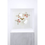 Jean-Luc MANIOULOUX, Impact, Insectes naturalisés, papillons, oeuf et plexiglas , 20 X 20 X 20 Cm (+ Socle 20 X 20 X 20 )