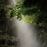 Nicolas BOUTRUCHE, Diane, Photographie tirage dibond ou plexiglass et caisson lumineux, 150 X 110 Cm