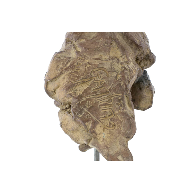 Jean-François GAMBINO – Tête de jeune orang outan – Bronze, 21 X 14 X 15 cm ( dont 9,5 cm de hauteur socle supplémentaire)