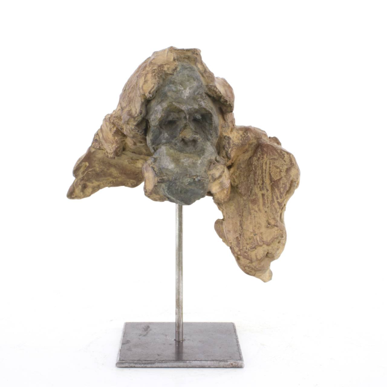 Jean-François GAMBINO – Tête de jeune orang outan – Bronze, 21 X 14 X 15 cm ( dont 9,5 cm de hauteur socle supplémentaire)