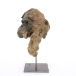 Jean-François GAMBINO – Tête de jeune orang outan – Bronze, 21 X 14 X 15 cm ( dont 9,5 cm de hauteur socle supplémentaire)