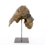 Jean-François GAMBINO – Tête de jeune orang outan – Bronze, 21 X 14 X 15 cm ( dont 9,5 cm de hauteur socle supplémentaire)