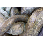 Jean-François Gambino, 2020, Bronze (8 Ex. + 4 EA), 38 X 90 X 34 Cm