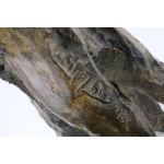 Jean-François Gambino – Dos Rond – Bronze – 39 X 42 X 26 cm