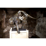 Jean-François Gambino, Puma, Bronze (8 Ex. + 4 EA), 85 X 67 X 127 Cm, Dernier Exemplaire