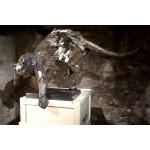 Jean-François Gambino, Puma, Bronze (8 Ex. + 4 EA), 85 X 67 X 127 Cm, Dernier Exemplaire