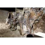 Jean-François Gambino, Puma, Bronze (8 Ex. + 4 EA), 85 X 67 X 127 Cm, Dernier Exemplaire