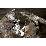 Jean-François Gambino, Puma, Bronze (8 Ex. + 4 EA), 85 X 67 X 127 Cm, Dernier Exemplaire