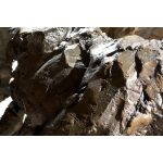 Jean-François Gambino, Puma, Bronze (8 Ex. + 4 EA), 85 X 67 X 127 Cm, Dernier Exemplaire