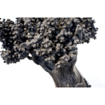 Herrel – Co Existence II – Marbre Noir De Golzinne (Belgique) – 46 X 44 X 32 Cm  – Pièce Unique