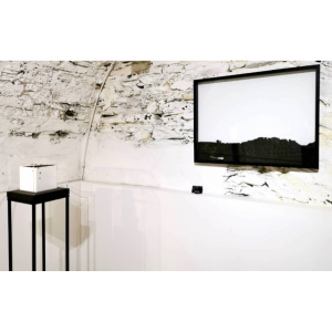 Histoires Impactantes, une exposition avec Sabine Danzé et Jean-Luc Maniouloux