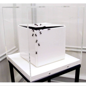 Histoires Impactantes, une exposition avec Sabine Danzé et Jean-Luc Maniouloux