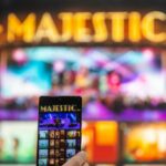 BOUTRUCHE – Installation – Majestic