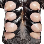 Lidia KOSTANEK, La cuirasse, Céramique, 42 x 33 x 18 cm