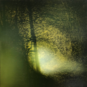 Jean-Marc AMIGUES - Chemin De Jaques - Huile Sur Bois - 120 X 120 Cm