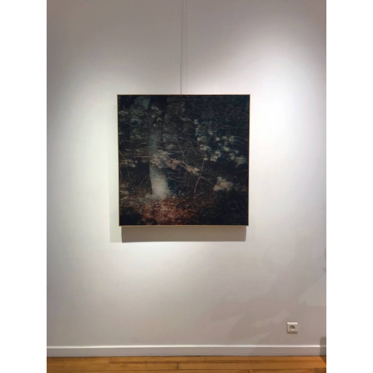 Jean – Marc AMIGUES – Sans Titre – Huile Sur Bois – 100 X 100 cm