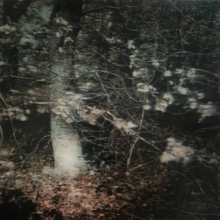 Jean – Marc AMIGUES – Sans Titre – Huile Sur Bois – 100 X 100 cm