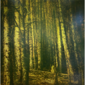 Jean-Marc AMIGUES - Sans Titre - Huile Sur Toile - 180 X 180 Cm