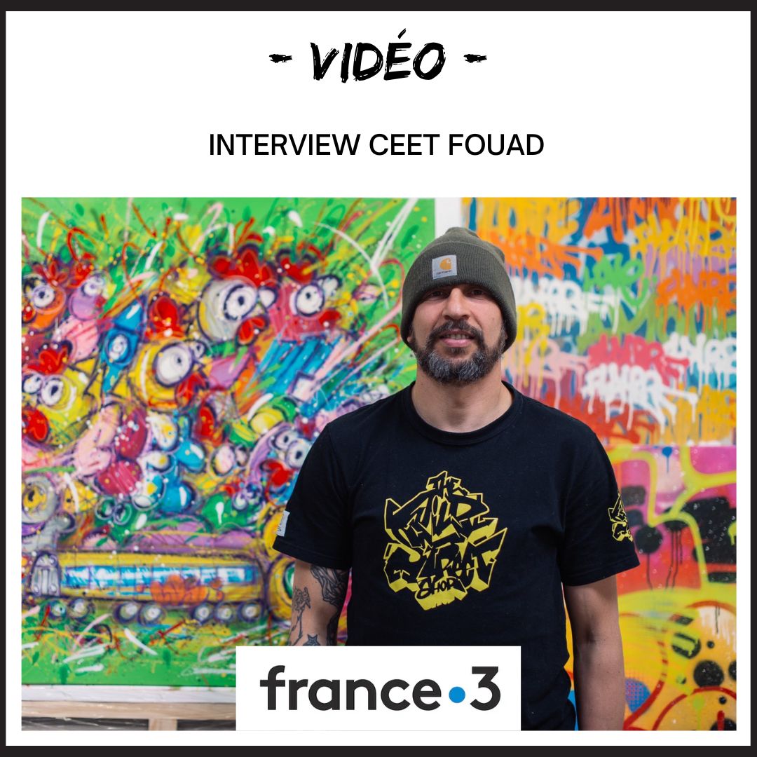 Voir Interview France 3