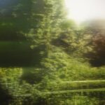 Jean-Marc AMIGUES, Paysage Lacustre, Huile Sur Toile, 120 X 180 Cm