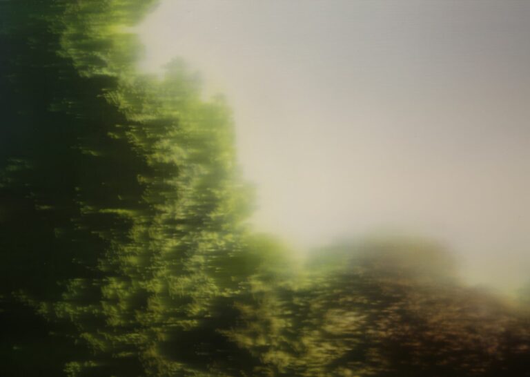 Jean-Marc AMIGUES, Paysage Lacustre, Huile Sur Toile, 120 X 180 Cm