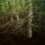 Jean-Marc AMIGUES, Sous Bois, Huile Sur Toile, 180 X 180 Cm