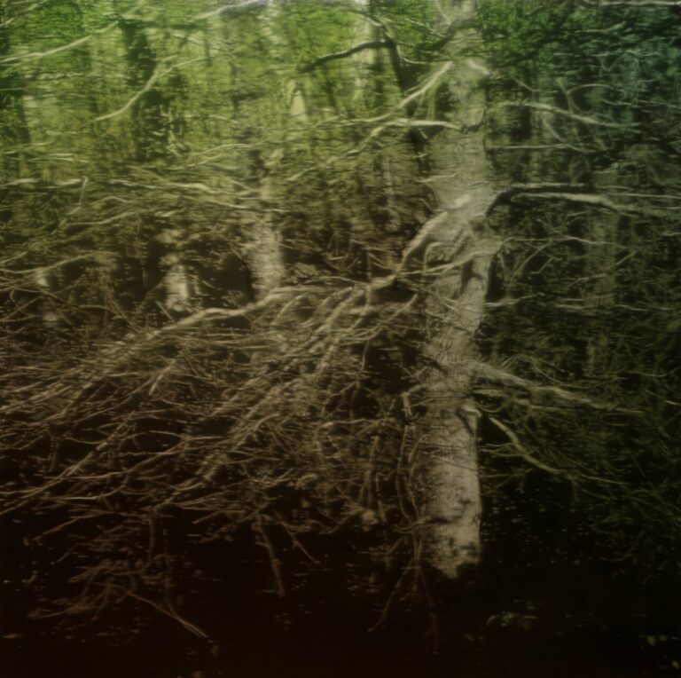 Jean-Marc AMIGUES, Sous Bois, Huile Sur Toile, 180 X 180 Cm