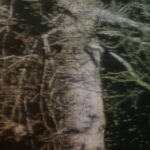 AMIGUES Sous Bois Huile Sur Toile 180 X 180 Cm (2)