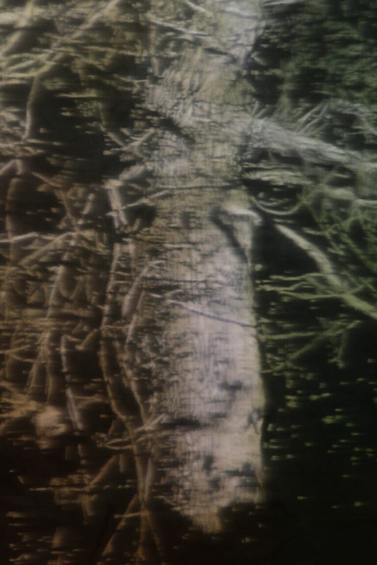 AMIGUES Sous Bois Huile Sur Toile 180 X 180 Cm (2)