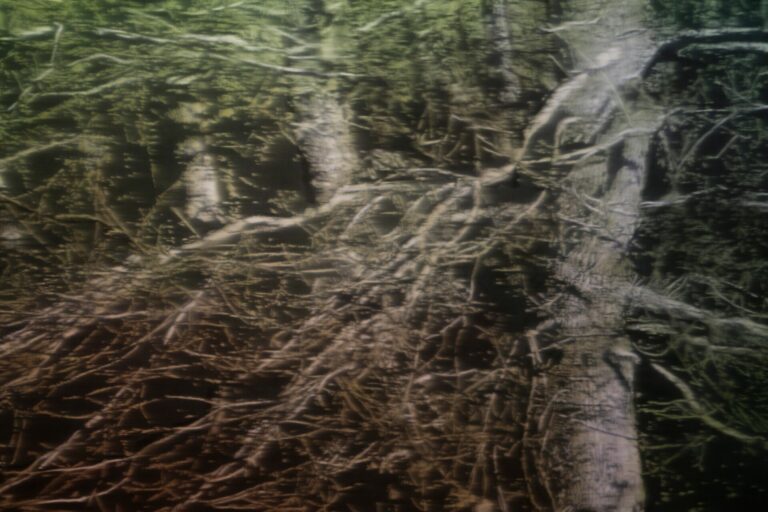 Jean-Marc AMIGUES, Sous Bois, Huile Sur Toile, 180 X 180 Cm