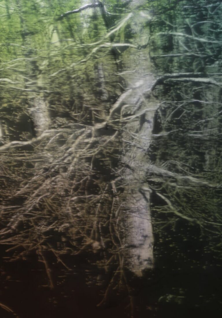 Jean-Marc AMIGUES, Sous Bois, Huile Sur Toile, 180 X 180 Cm