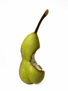 Dominique RAYOU, Impermance Cambrée, Multiple Bronze 99 Ex, 37 X 14 X 16 Cm