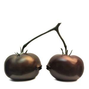 Dominique RAYOU, Les âmes soeurs, Bronze (8 Ex. + 4 E.A.), 34 X 48 X 20 cm