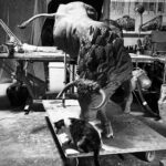 BENENATI Taureau Machine Monumental Bronze (8+4 EA) 160 X 195 X 135 Cm