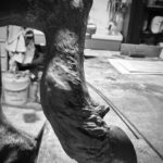 BENENATI Taureau Machine Monumental Bronze (8+4 EA) 160 X 195 X 135 Cm