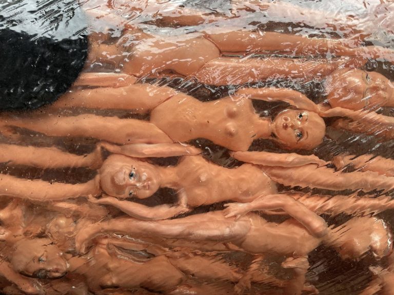 ALBEN – Balance ton porc