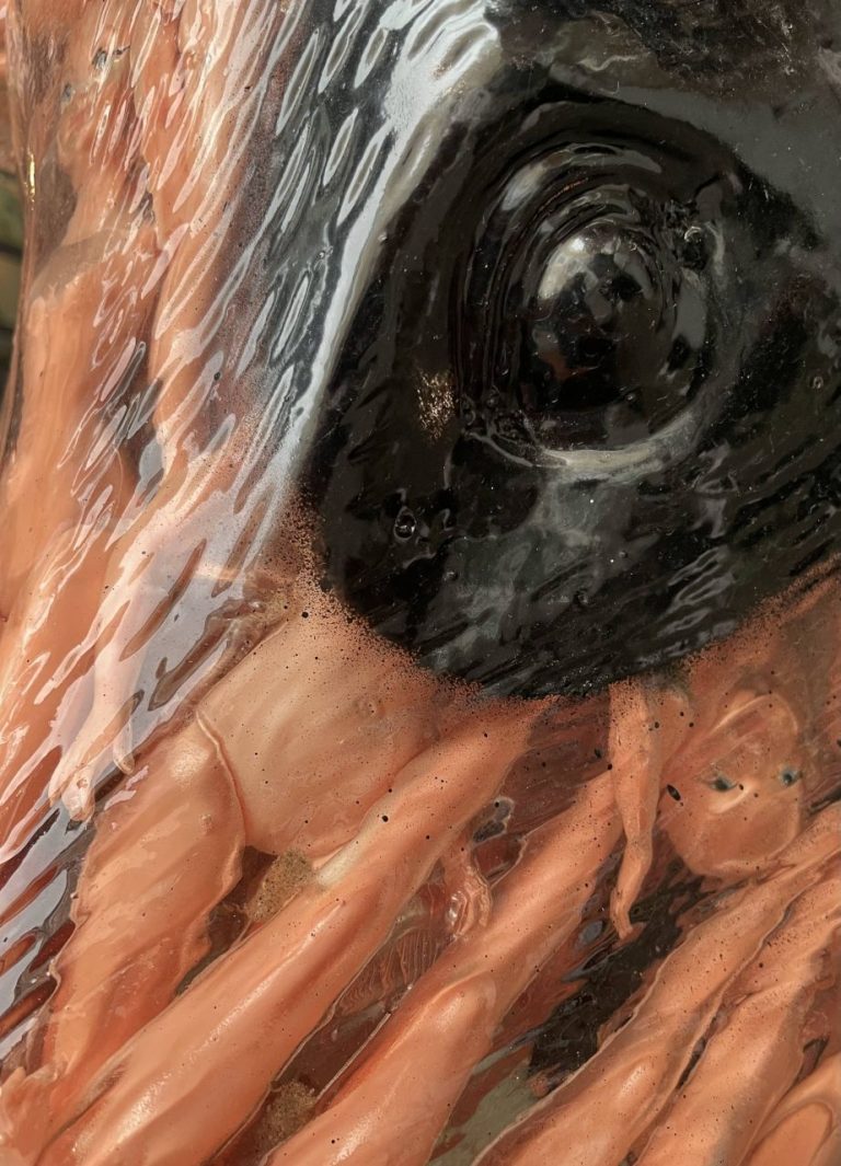 ALBEN – Balance ton porc