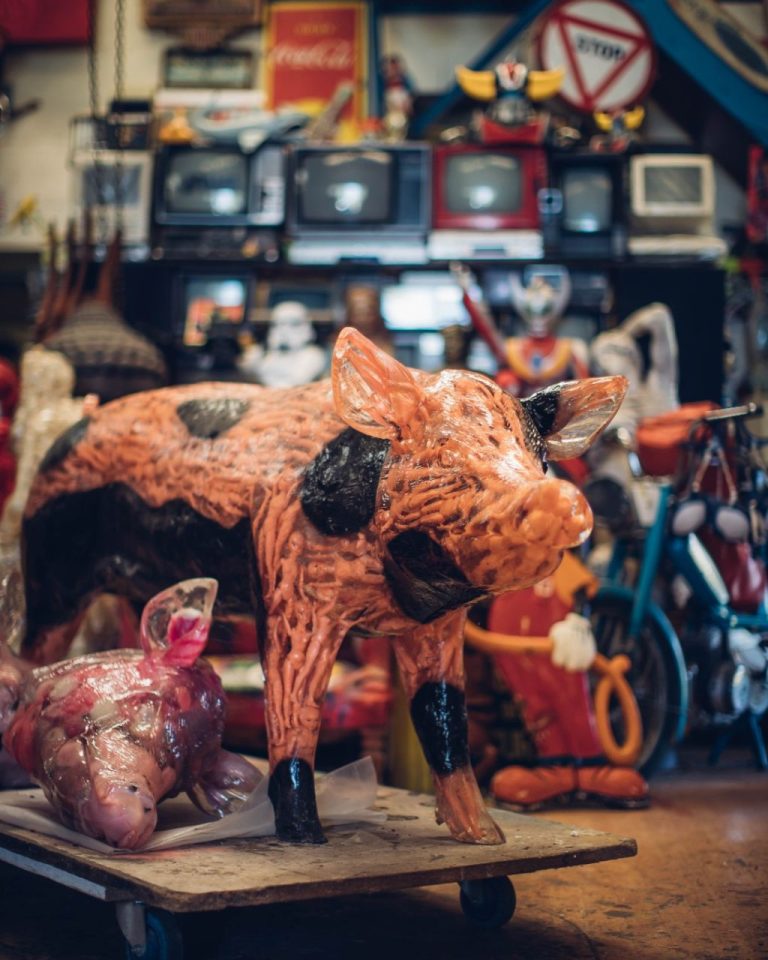 ALBEN – Balance ton porc