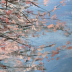 ZHANG Qiongfei Fleurs De Printemps Acrylique Sur Toile 215 X 135 Cm5