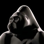 BASSOMPIERRE – Le Patriarche N°3