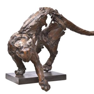 Gambino - Puma, Bronze