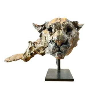 GAMBINO - Tête de lion des montagnes