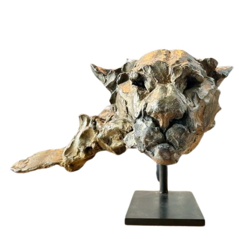 GAMBINO – Tête de lion des montagnes