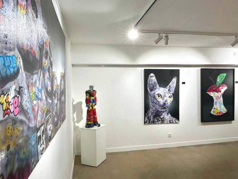 ONEMIZER – Installation – Pimp my cat – Technique mixte sur toile