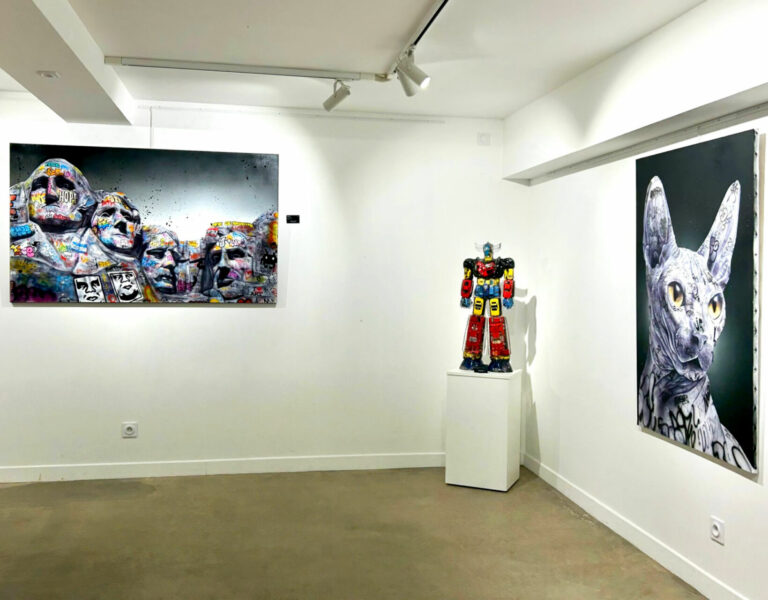 ONEMIZER – Installation – Pimp my cat – Technique mixte sur toile