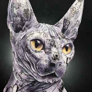 ONEMIZER - Pimp my cat - Technique mixte sur toile