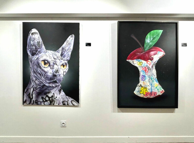 ONEMIZER – Installation – Pimp my cat – Technique mixte sur toile