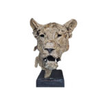 GAMBINO – L’affût