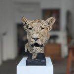 GAMBINO – L’affût